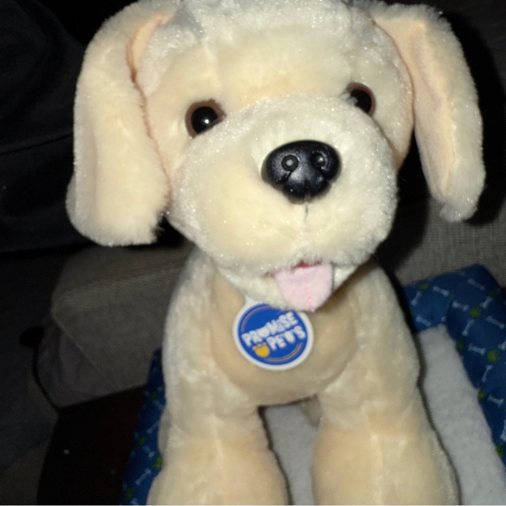 Build a Bear Promise Pets Golden Retriever Yellow Labrador Puppy 11" & Dog BED - Picture 15 of 16